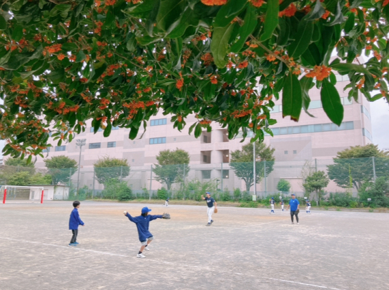 10月19日体験会ご報告